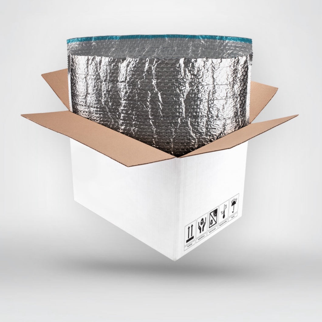 Frozen food delivery package / ice pack ( DHL parcel delivery use) / for frozen food or baking item